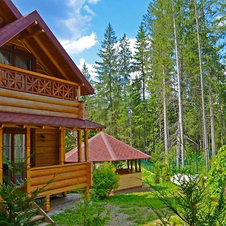 Knyazhyi Dvir Apartment Strigalnya Luaran gambar