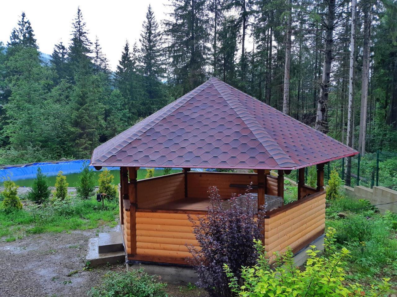 Knyazhyi Dvir Apartment Strigalnya Luaran gambar